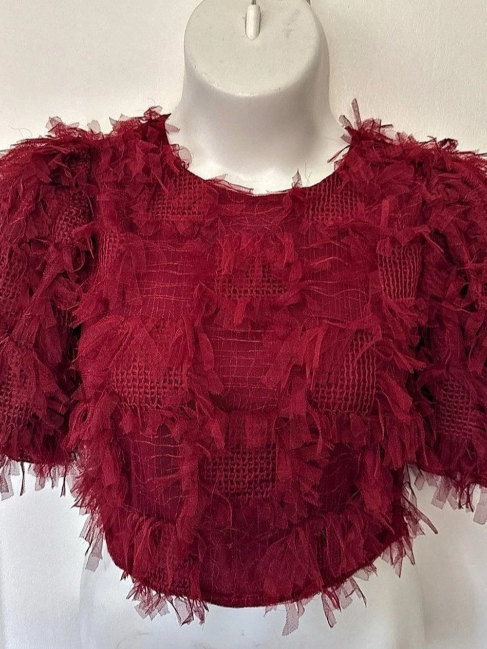Endless Rose Gridded Mesh Feathered Crop Top in Burgundy Large Like New